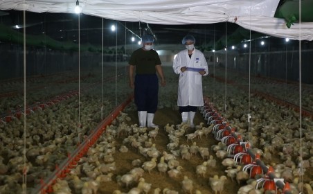 食品安心溯源保障舌尖上的安全